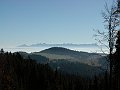 Orava 052